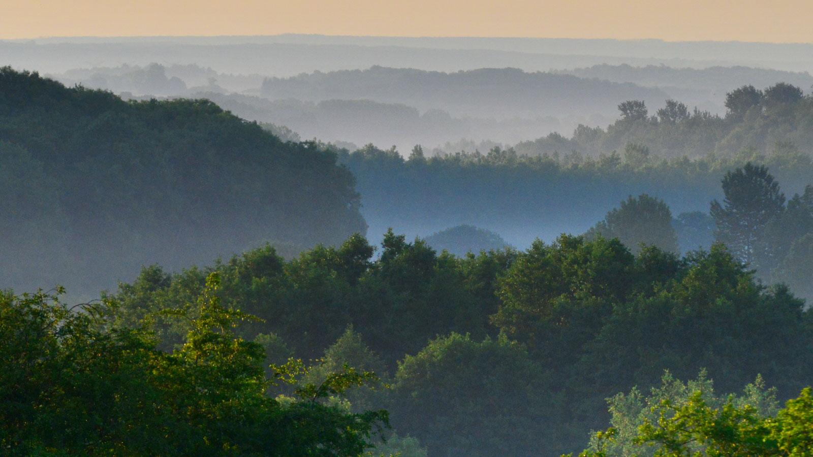 Paysage des Ardennes